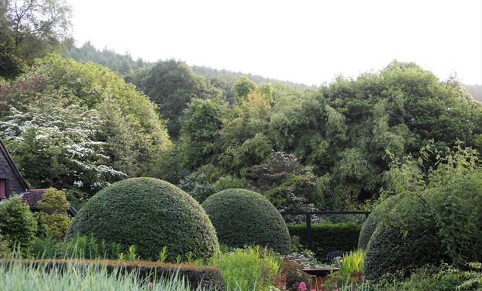 Front Garden at Veddw